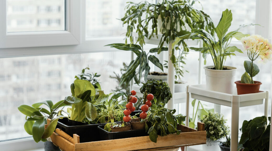 Como Montar uma Horta em Apartamento: Dicas Essenciais para Iniciantes
